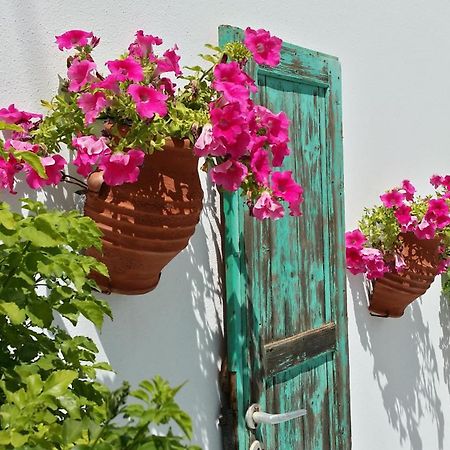 Villa Anna Maria Alikí Екстериор снимка
